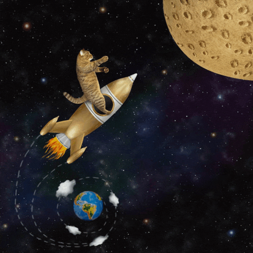 a cat is sitting on a rocket flying through space