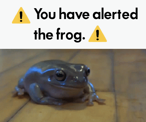 Frog Froge GIF - Frog Froge You Alerted The Frog GIFs