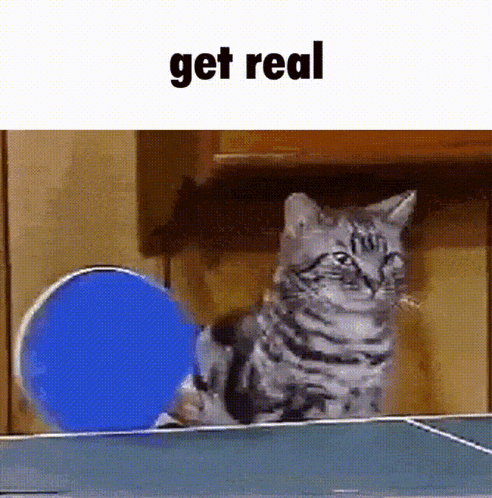 a cat is playing ping pong with a blue ball and the text get real