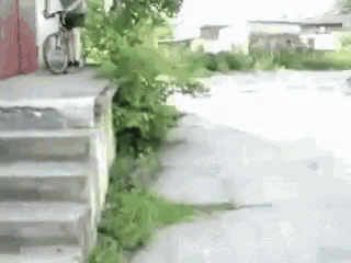 a person is riding a bike down a sidewalk next to some stairs .