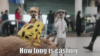 two meerkats are standing next to each other with the words " how long is casting " above them