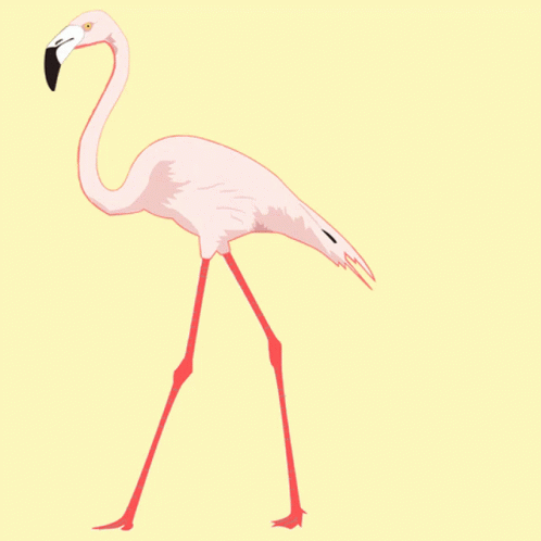 Flamingo Glow GIF - Flamingo Glow Up GIFs