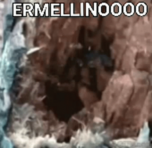 Ermellino Ermal GIF - Ermellino Ermal Ermellinox GIFs