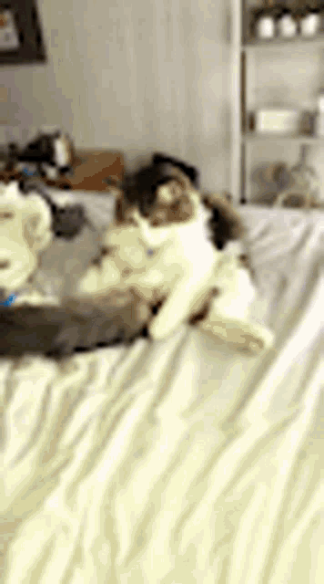 two cats are laying on a bed with white sheets .