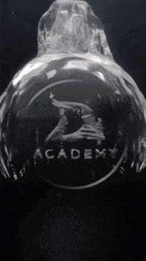 a black and white image of the academy logo on a black background