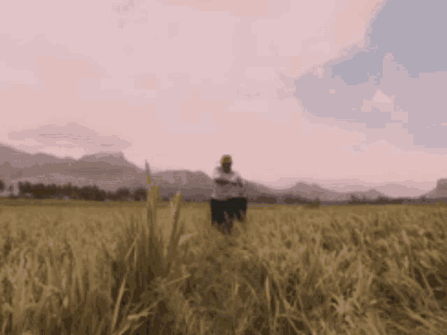 a man is standing in a field of tall grass with mountains in the background