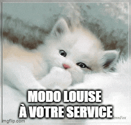 a picture of a kitten with the words modo louise a votre service on it