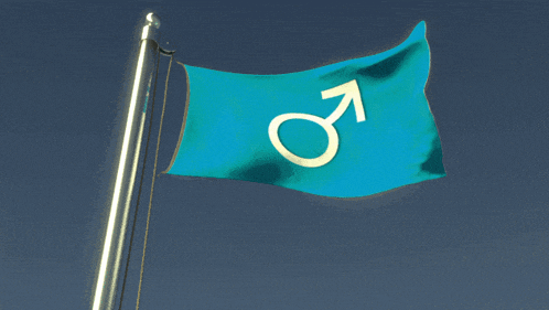 a blue flag with a male symbol on it is waving in the wind