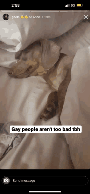 a phone screen shows a picture of a dog and says gay people aren 't too bad