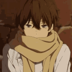 a boy with a scarf around his neck is looking at the camera