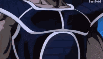 a close up of a person 's chest with a blue and white armor on .