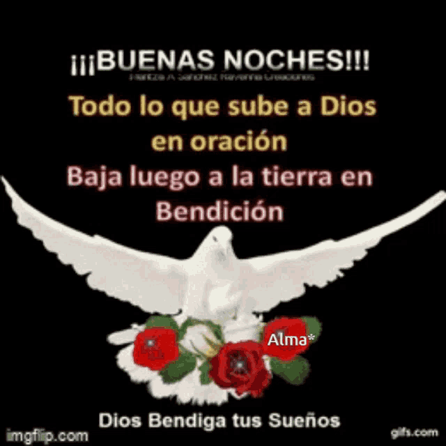a white dove is surrounded by red roses and a message in spanish