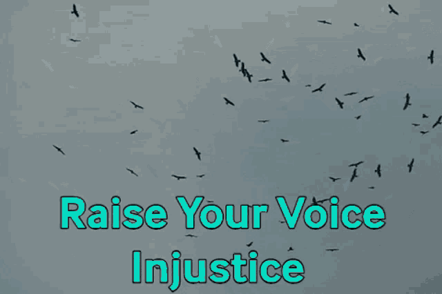 Raise Voice GIF - Raise Voice Rayya GIFs
