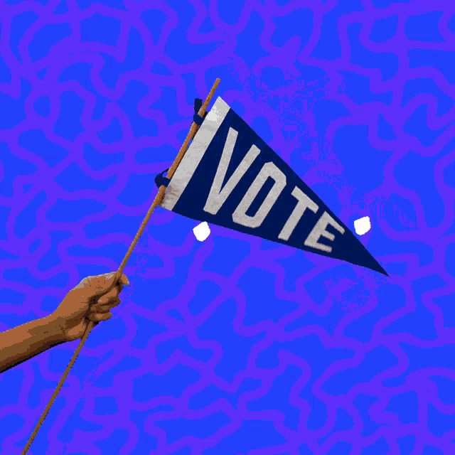 Vote Ballot GIF