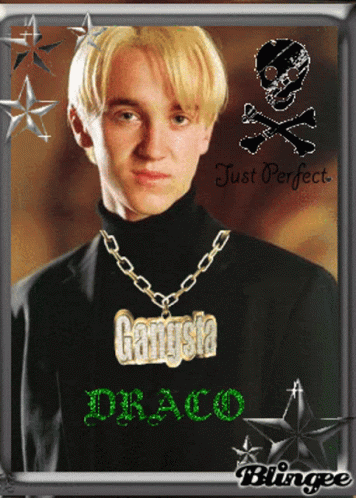 Draco Blingee GIF - Draco Blingee Draco Blingee GIFs