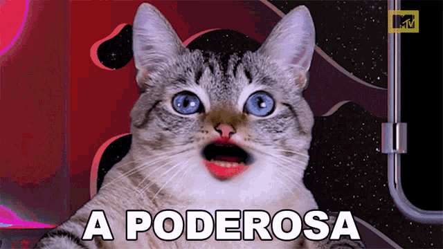 a cat with a surprised look on its face and the words " a poderosa " on the bottom