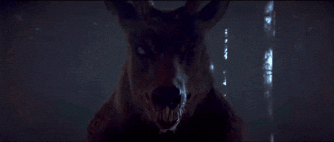 a close up of a deer in the dark with a blurred background
