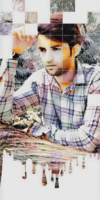 a man in a plaid shirt is shown in a collage