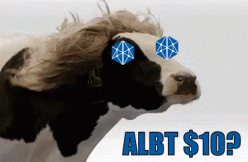 Albt Allianceblock GIF - Albt Allianceblock GIFs