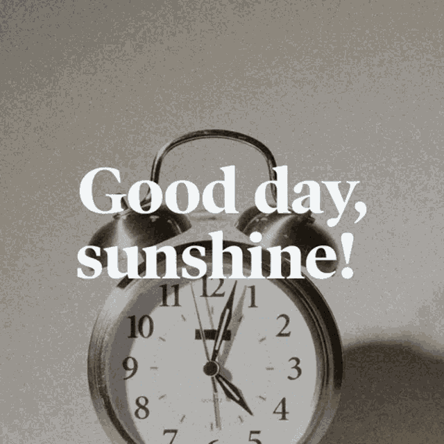 Good Day Sunshine What A Day GIF - Good Day Sunshine What A Day Crooked Media GIFs