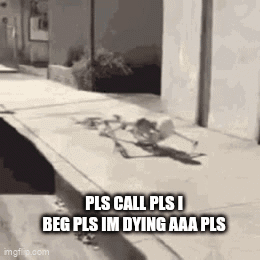 Pls Call Im Dying Discord Call GIF - Pls Call Im Dying Pls Call Discord Call GIFs