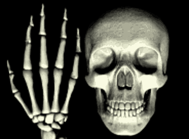 Skull Skeleton GIF - Skull Skeleton Middle Finger GIFs