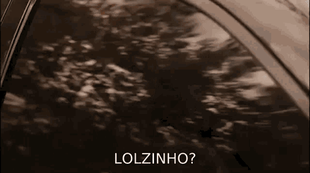 a car is driving down a road with the words lolzinho written on the screen .