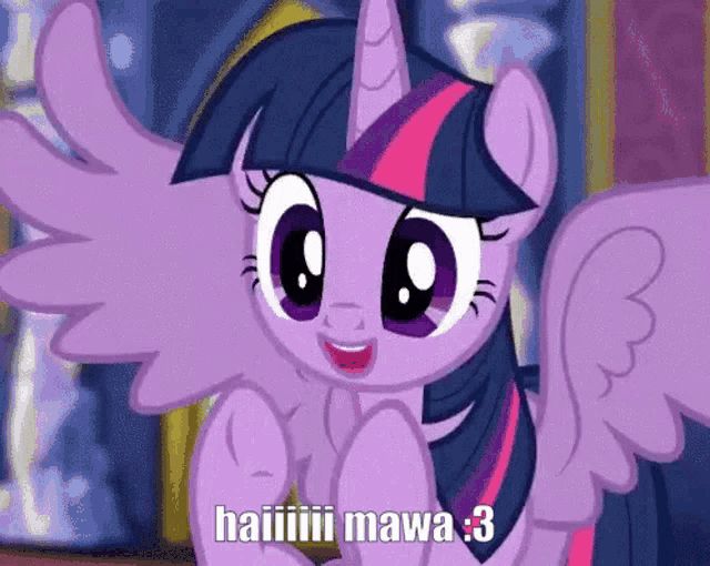 twilight sparkle from my little pony is smiling with the caption haiiiiii wawa 3