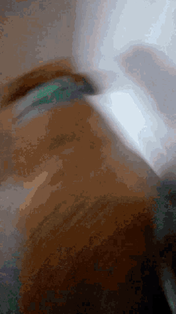 a blurry photo of a person 's face with a green headband