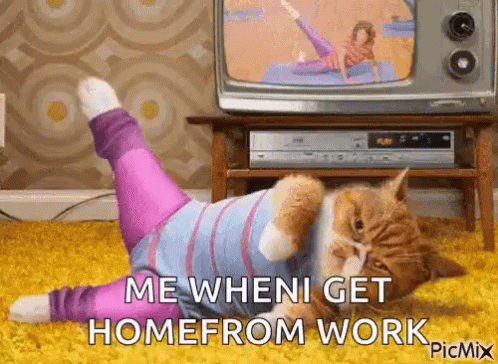 Working Out GIF - Working Out Works GIFs