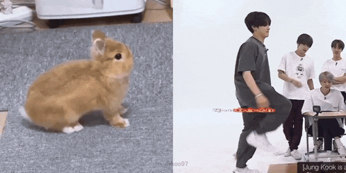a picture of a rabbit next to a picture of a person dancing