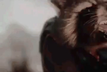 Lazy Rocket Raccoon GIF - Lazy Rocket Raccoon Guardians Of The Galaxy GIFs