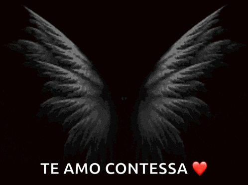 a black background with white wings and the words te amo conessa