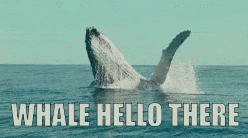 Whale Hello There GIF - Whale Whale Hello There Hi GIFs