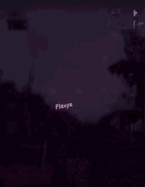 a blurry picture of a landscape with flaxyz written on the bottom