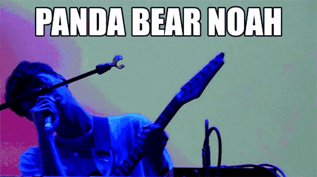a man playing a guitar and singing into a microphone with the words panda bear noah written above him