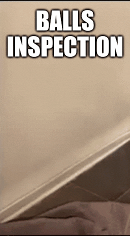 a poster that says balls inspection on the top