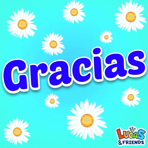 a blue background with white daisies and the word gracias