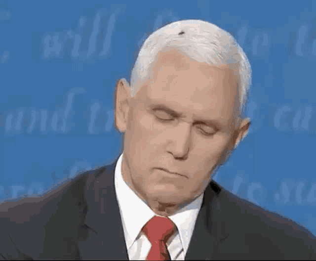 Pence Fly GIF - Pence Fly Poop GIFs