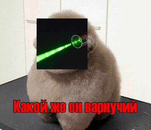 a stuffed animal with a picture of a laser beam behind it and the words " какой же он варнучий " below it