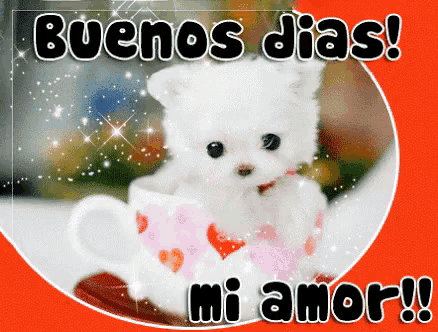 a white teddy bear is sitting in a cup with the words buenos dias mi amor written below it