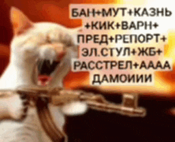 a cat is holding a gun in front of a fire with russian writing on it .