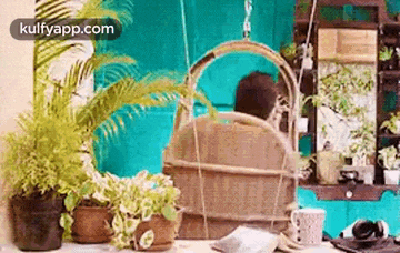 a person is sitting on a wooden swing in a room surrounded by plants .