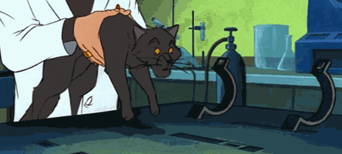 a cartoon of a person holding a black cat in a lab
