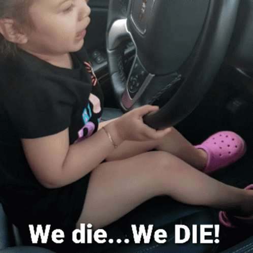 We Are Going To Die We Ride Together We Die Together GIF - We Are Going To Die We Ride Together We Die Together Driving GIFs