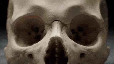 a close up of a human skull with the word nbc on the bottom right