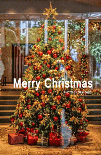 Marry Christmas Xmas GIF - Marry Christmas Xmas Merry Christmas And A Happy New Year GIFs