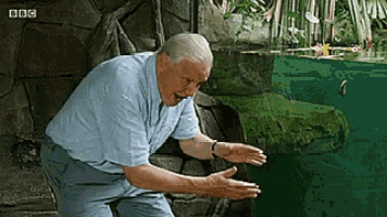 an older man is looking at a fish tank with bbc written on the bottom