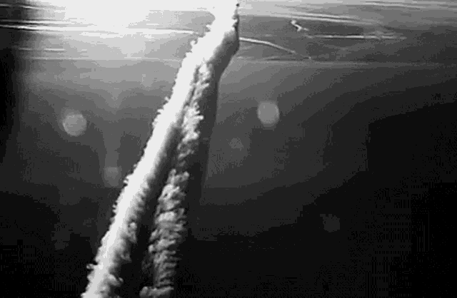 a black and white photo of a jet flying through the air .