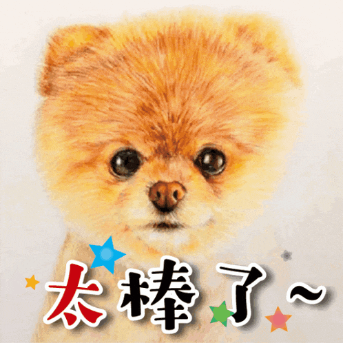 a picture of a pomeranian dog with chinese writing behind it